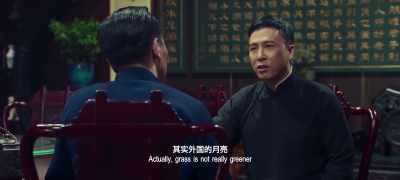 Actually, grass is not really greener - Ip Man 4: The Finale