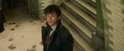 Actually, I think we can. - Fantastic Beasts and Where to Find Them