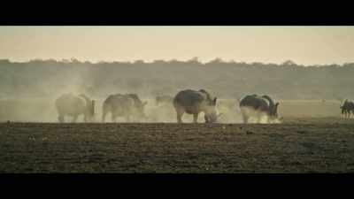 Actually, here in Botswana, - Nothing Lasts Forever