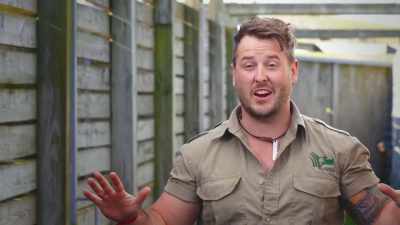 Adam and I go out
to check on the calf, - Secrets of the Zoo