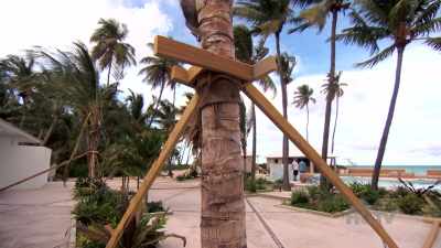 Adam: Luckily, we were OK, but
it's affecting our employees, - Island of Bryan