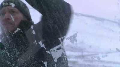Adam McInnes is the Winch Cat King - - The Mountain