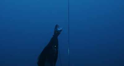 ADAM:
Now you're really kicking hard - Freediver