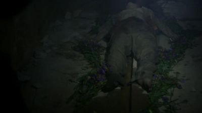 Adam? - Chicago P.D.