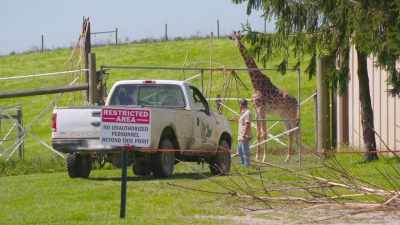 Adam: When we were
out there earlier, - Secrets of the Zoo