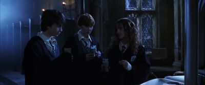Add the hairs. - Harry Potter and the Chamber of Secrets