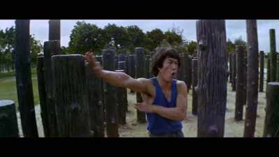 Additional kung fu movements
are grouped according to - Enter the Clones of Bruce