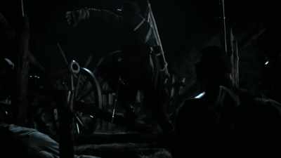 Adelman: As fate would have it, - Blood and Fury: America's Civil War