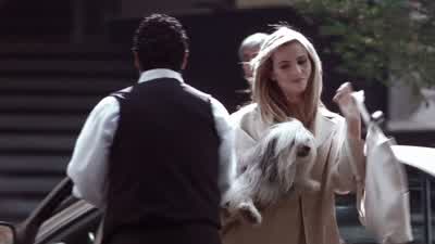 - ¿Adónde vas? - Amores Perros