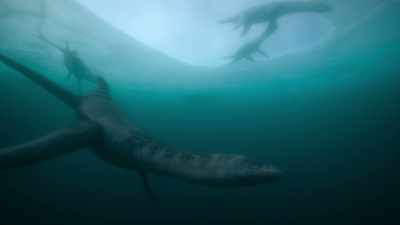 Adults must navigate carefully
to find them, - Prehistoric Planet