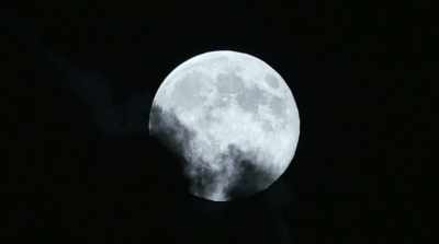 (adventurous music) - Bride of the Werewolf