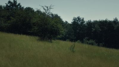 -[Aethelstan] How much longer?
-[Stiorra] Again and I will not reply. - The Last Kingdom