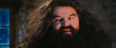 Afraid I might have sat on it at somepoint, but I imagine it'll taste fine just the same. - Harry Potter and the Philosopher's Stone