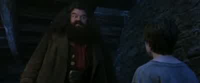 Afraid I sat on it, but I imagineit'll taste fine just the same. - Harry Potter and the Philosopher's Stone