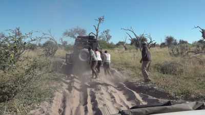After 15 hours on the road, - In the Footsteps of Elephant