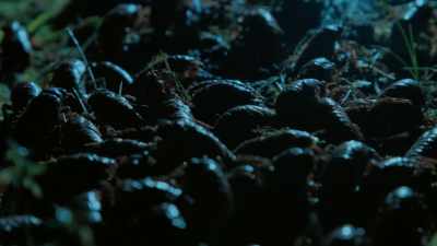 After a lifetime alone underground, - Tiny World