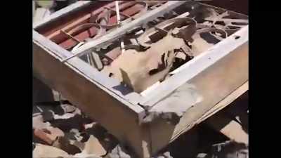 After a pause, Salem entered the alley, - Killing Gaza