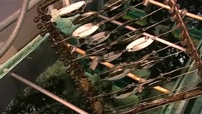 AFTER A THOROUGH RINSE, - How It's Made