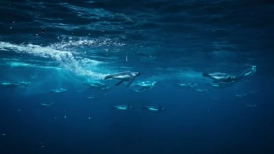 'After a two-week fishing trip, - A Year on Planet Earth