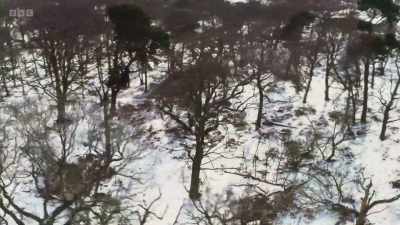 After a winter of dormancy, - Wild Isles