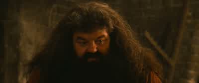 After all, He-Who-Must-Not-Be-Named... - Harry Potter and the Philosopher's Stone