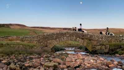After all the children's hard
work during lockdown, - Our Yorkshire Farm