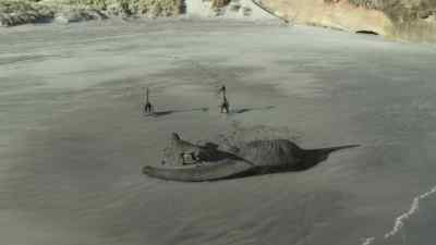 After all, two beaks are deadlier than one. - Prehistoric Planet