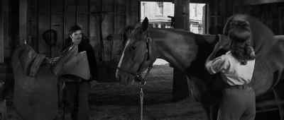 After all, what have
you to fear, boy? - Love Me Tender