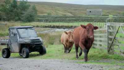 After an impatient few weeks
recovering, - Our Yorkshire Farm