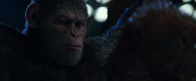 After we are gone - War for the Planet of the Apes