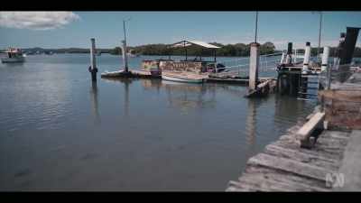 After another boat?
More bird watching? - Troppo