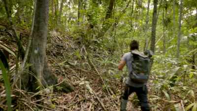 After centuries of erosion, - Lost Treasures of the Maya