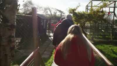 After dangerous wild animals, - Britain's Tiger Kings - On the Trail with Ross Kemp