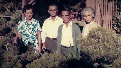 After his death, - Trees and Other Entanglements