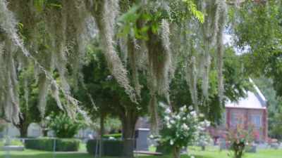 After we dug
Abraham's body up, - Buried In The Backyard