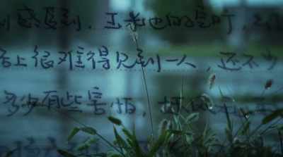 "After exiting the school gate,
I could hardly see anyone. - Finding Yingying