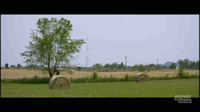  After five years, - The Pike County Murders: A Family Massacre