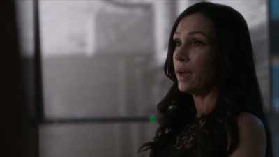 After he grabbed
the NATO Ambassador, - The Blacklist: Redemption