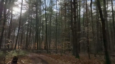 After hearing
from local resident Bill Russo - Beyond Skinwalker Ranch