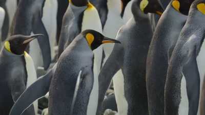 'After so long at sea, - A Year on Planet Earth