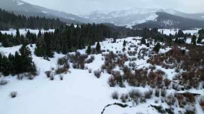 After more than two
years in the wilderness, - Yellowstone: One-Fifty