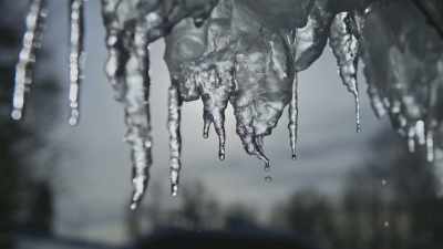 After nearly six months
under the crushing grip - Yellowstone: One-Fifty