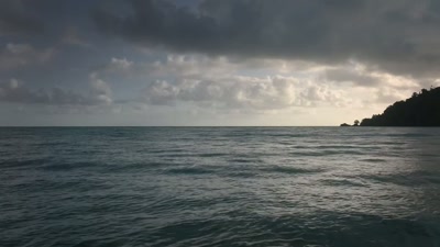 'After nesting,
leatherbacks return to the sea - A Year on Planet Earth