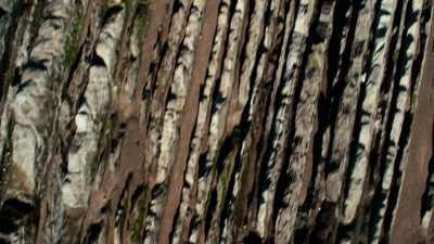 After nine years of research, - Anthropocene: The Human Epoch