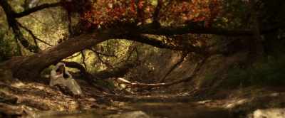 After she realized
what she had done, - The Curse of La Llorona