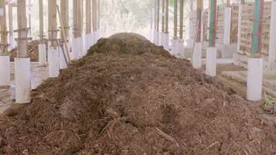 After six to seven months,
it becomes compost. - Human: The World Within