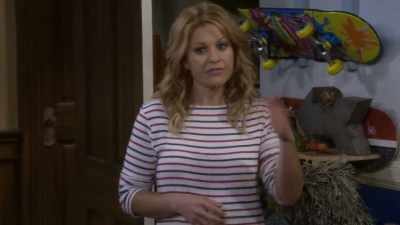 After that, it was a blur,
just a bunch of feathers - Fuller House