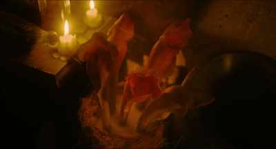 After that, the soup
would kill a mountain troll. - Man and Witch: The Dance of a Thousand Steps