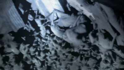 - After the successful
test with the unarmed bats, - The UnBelievable with Dan Aykroyd