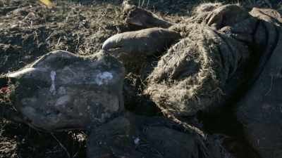 After the trapper he was
traveling with was dismembered - Yellowstone: One-Fifty